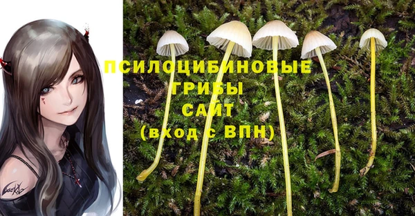 первитин Бронницы