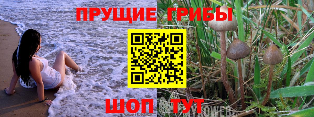 Мончегорск  Псилоцибиновые грибы прущие грибы  Вход с VPN 