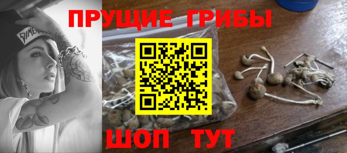Галлюциногенные грибы мицелий Мончегорск